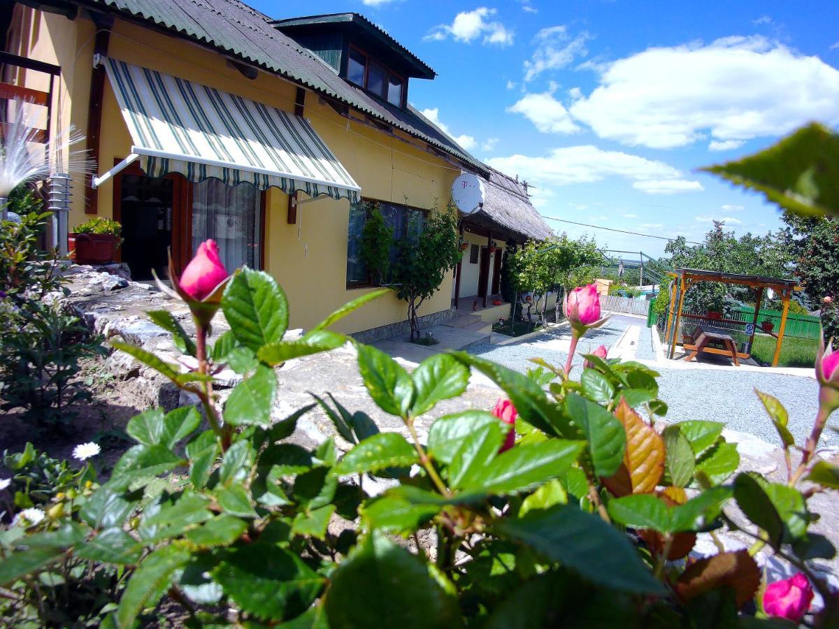 Casa Adi Si Maria Hotel Mahmudia Eksteriør billede