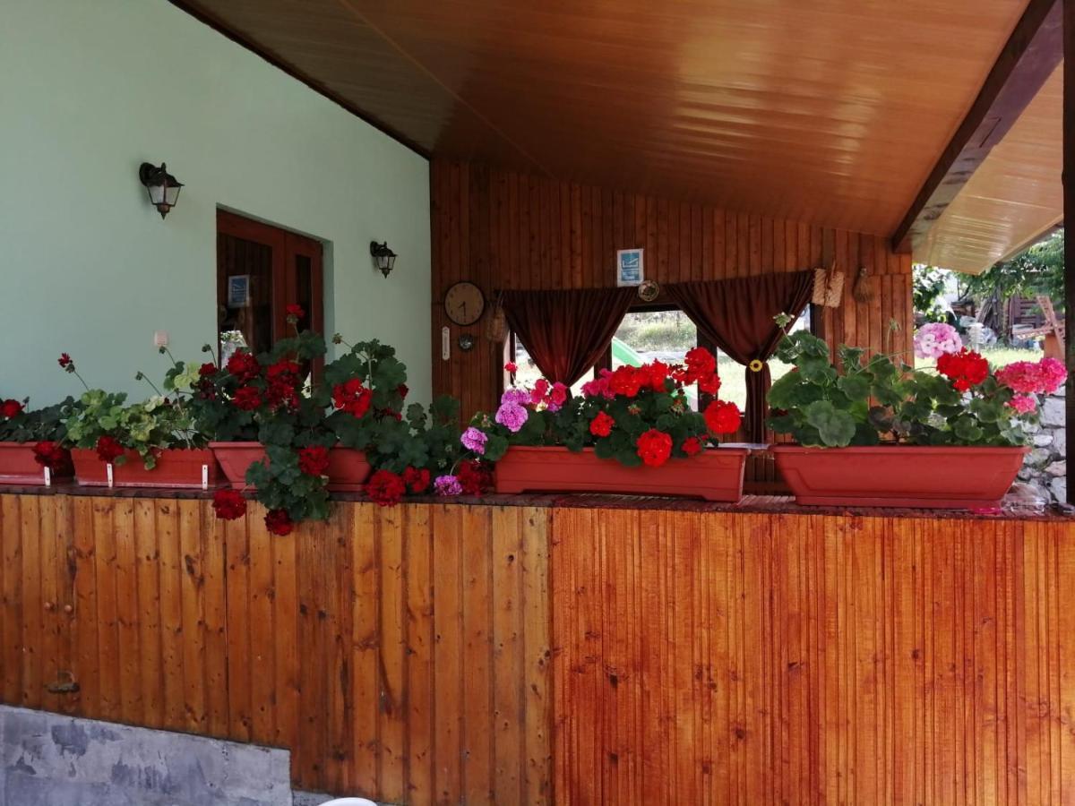 Casa Adi Si Maria Hotel Mahmudia Eksteriør billede