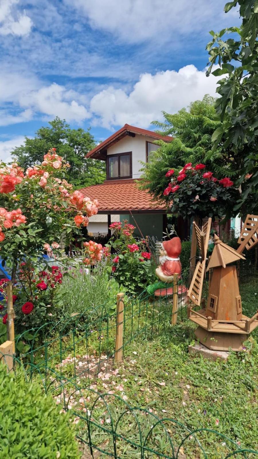 Casa Adi Si Maria Hotel Mahmudia Eksteriør billede